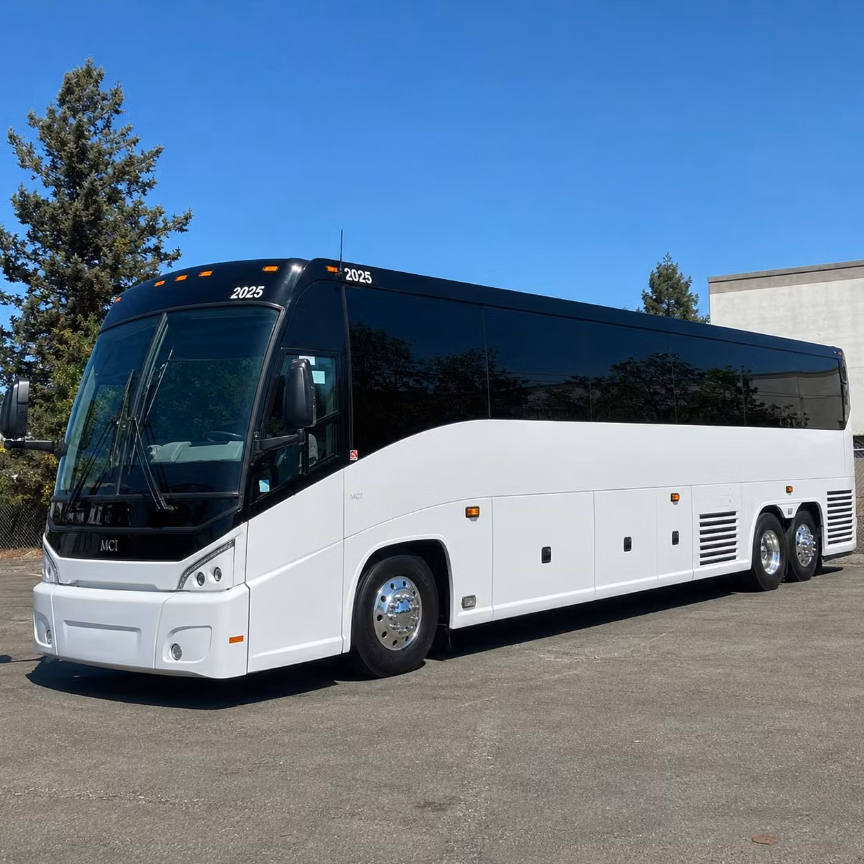 56 passenger charter bus
